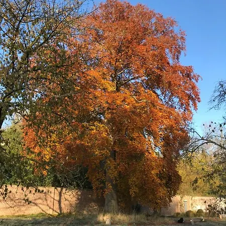 Moulin De Lansekyn Lägenhet Jodoigne