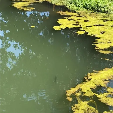 Moulin De Lansekyn Lägenhet Jodoigne